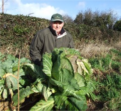 Patrick Harkin and the two-stone cabbage he grew in Moville.