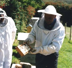 Willie McMullan inspects his Kinnego hives.