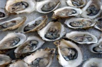Loughs Swilly and Foyle will enjoy better shellfish protection.