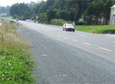 The busy Derry to Moville road near Redcastle where cats have been dumped.