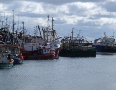 Fishing boats in Greencastle harbour.
