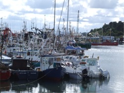 All the fishing boats are tied up in Greencastle Harbour.