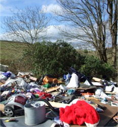 The scene of illegal dumping near Grianan fort.