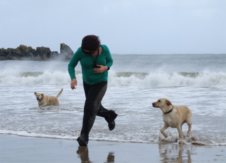 Una McCann gets caught out by the tide while trying to photograph her pet labradors Jenny and Maya in the stormy seas at Shroove on Saturday morning.