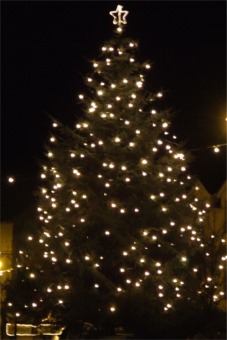 The Christmas tree in Moville.